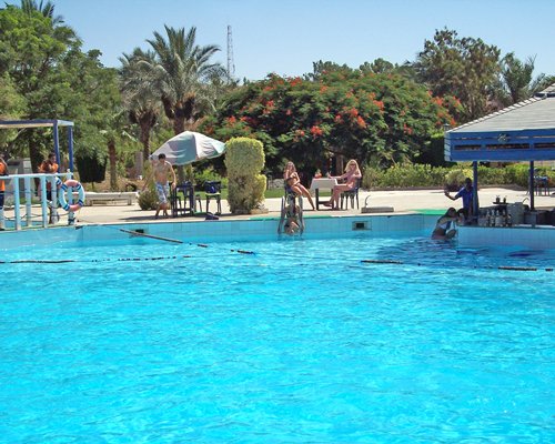A large outdoor swimming pool alongside landscaping.