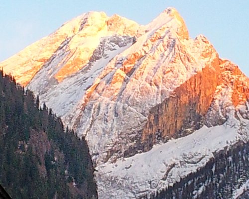 A view of huge mountains and pine trees.