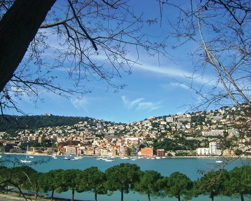 An exterior view of a waterfront alongside trees and the town.