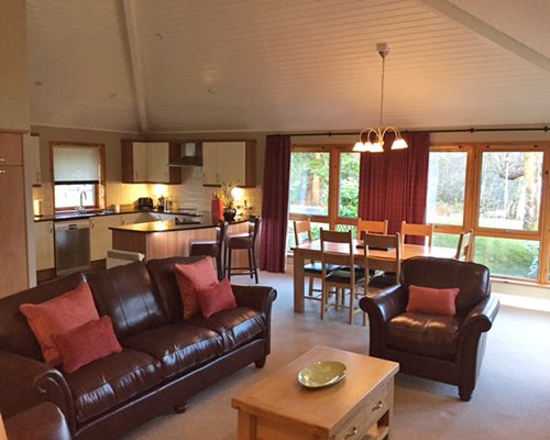 An open plan living dining and kitchen area with a pull out sofa.