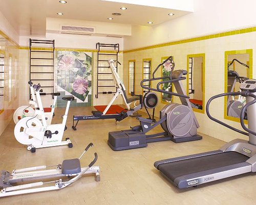 A well equipped indoor fitness area.