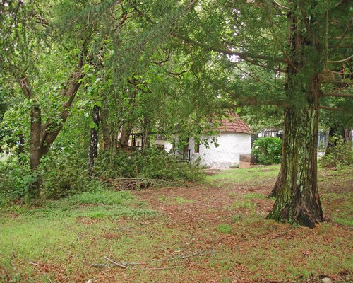 A unit at Kings Lodge Hotel surrounded by wooded area.