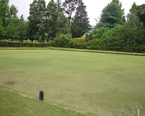 An exterior view of a manicured lawn surrounded by trees.