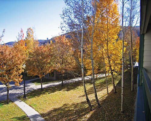 Pathway during fall.