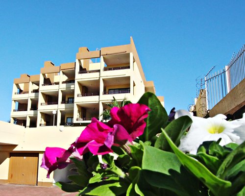 An exterior view of multi story resort units alongside flowers.