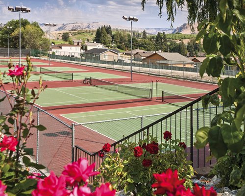 A scenic outdoor tennis court.