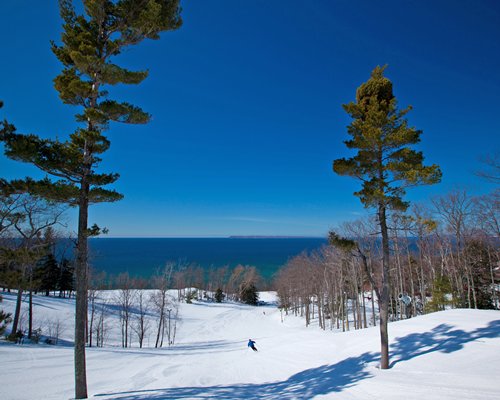 A view of the ski slopes with woods.