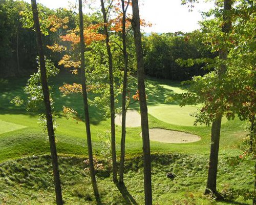 A scenic outdoor golf course surrounded by wooded area.