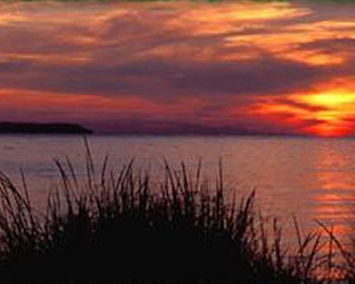 View of the beach at dusk.