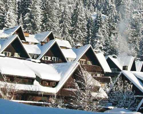 An exterior view of the resort units with pine trees covered in snow.