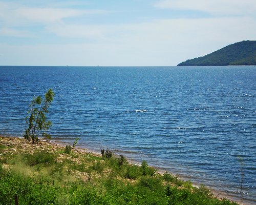 A view of the lake from the shore.