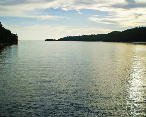 A view of the lake surrounded by wooded area.