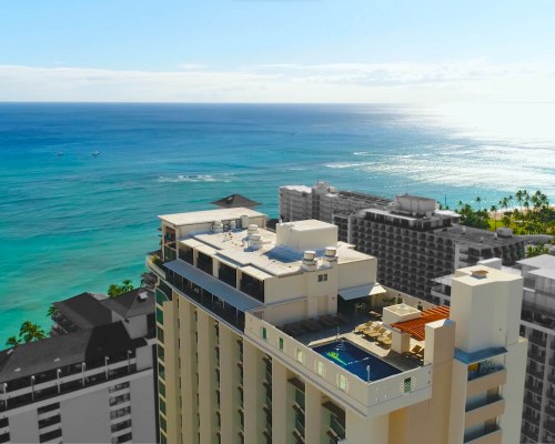 Image Description to Come