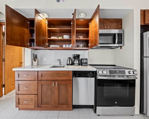 Image Description to Come