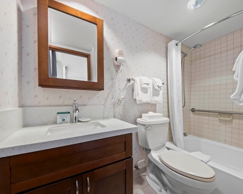 Image Description to Come