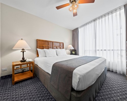 Image Description to Come