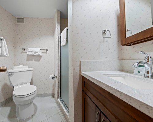 Image Description to Come