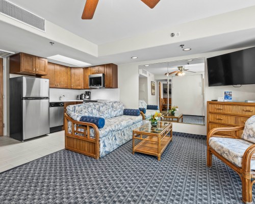 Image Description to Come