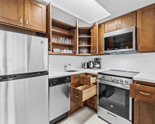 Image Description to Come