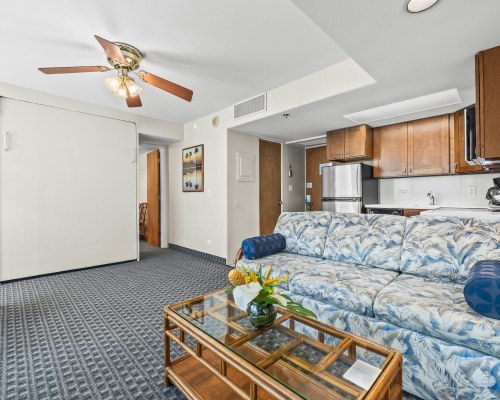 Image Description to Come