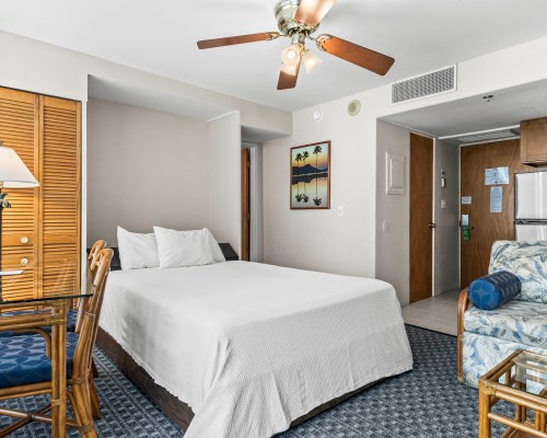 Image Description to Come