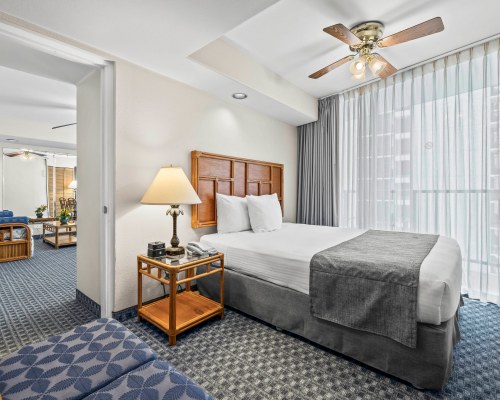 Image Description to Come