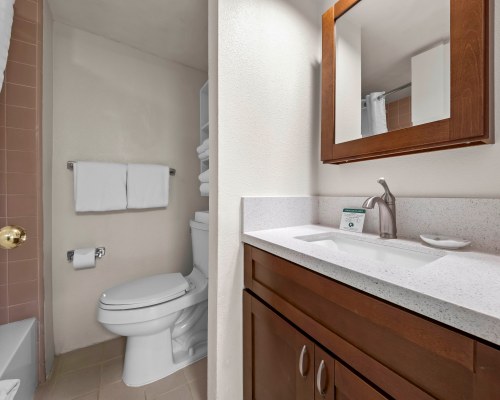 Image Description to Come