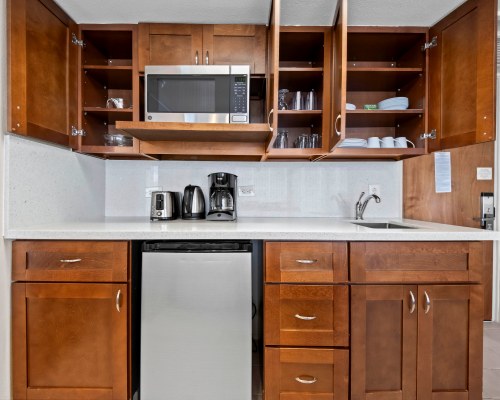 Image Description to Come