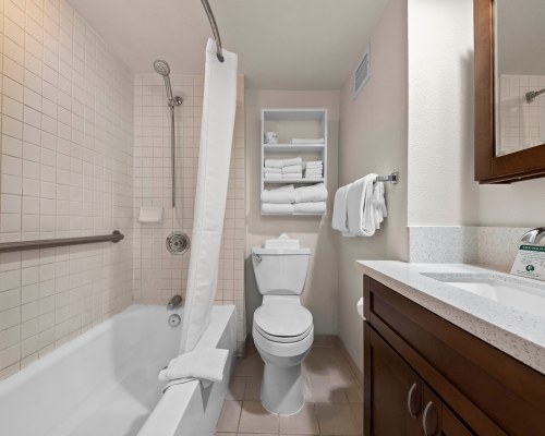 Image Description to Come