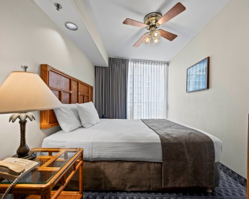 Image Description to Come