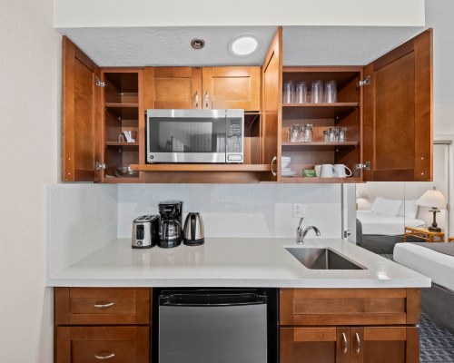 Image Description to Come