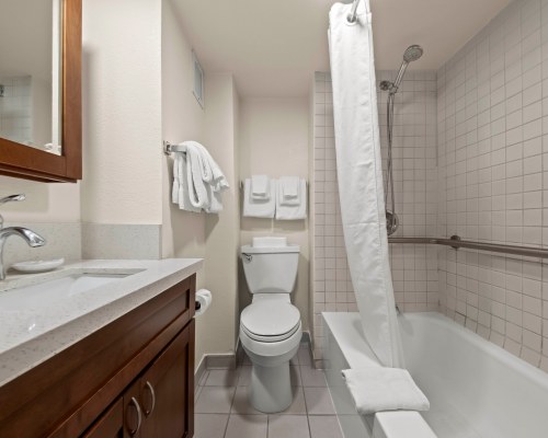 Image Description to Come