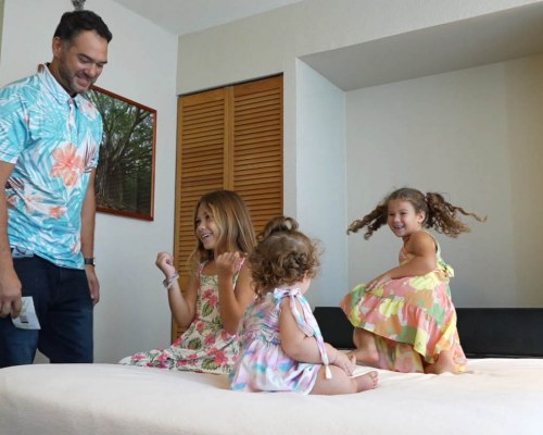 Image Description to Come