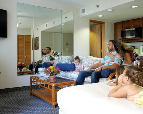 Image Description to Come