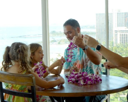 Image Description to Come