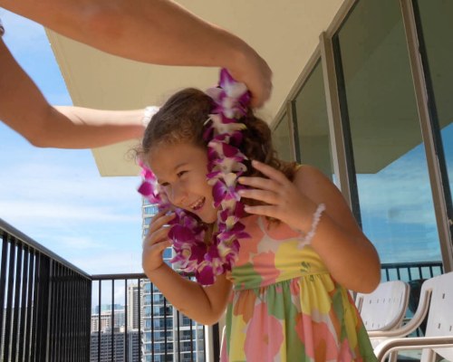 Image Description to Come