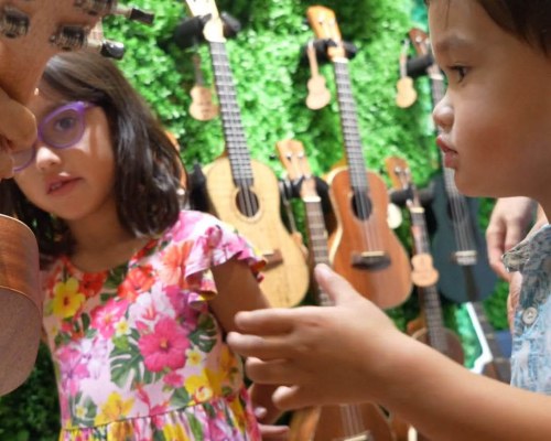 Image Description to Come