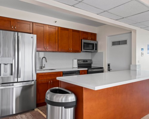 Image Description to Come