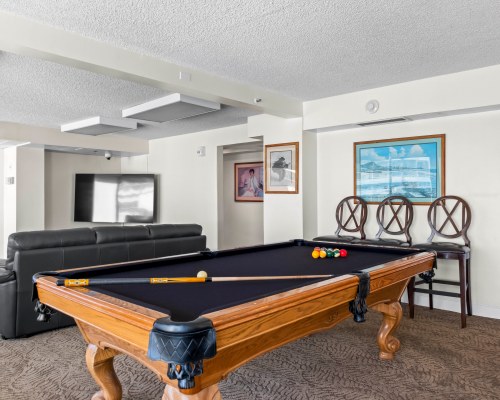 Image Description to Come