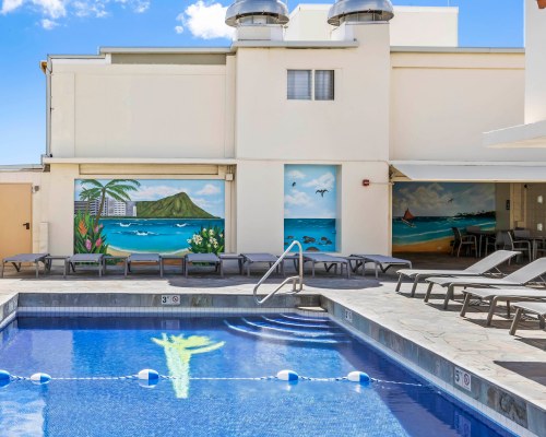 Image Description to Come