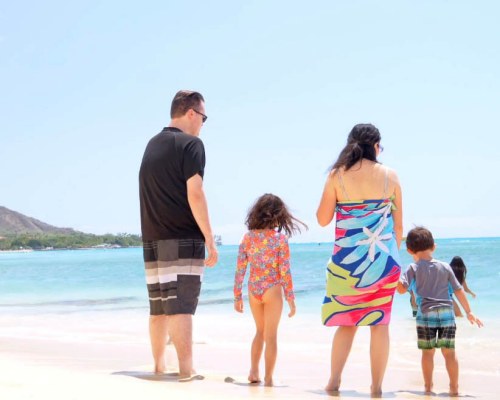 Image Description to Come