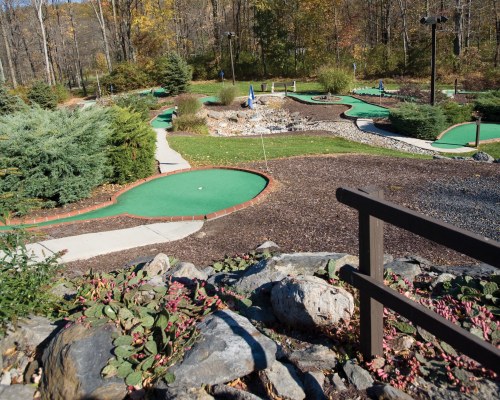 A PUTT PUTT GOLF COURSE SURROUNDED BY WOODS.