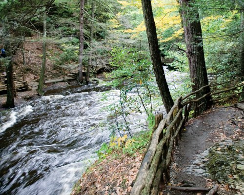 A DELAWARE RIVER FLOWING THROUGH THE WOODS.