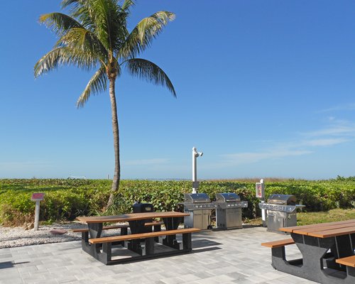 Outdoor picnic area with dining and barbecue grills.