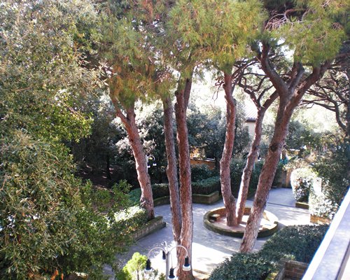 A balcony view of multiple trees.
