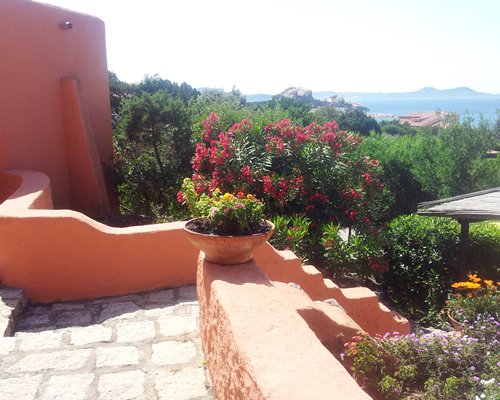 An Italian terrace with beautiful flowers.