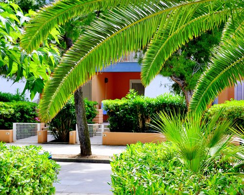 A view of the resort unit.