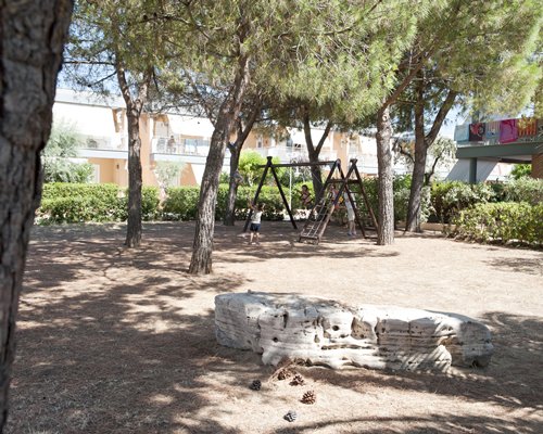 Scenic picnic area with a playground.