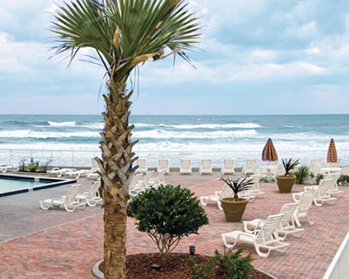 An outdoor swimming pool with chaise lounge chairs alongside the ocean.