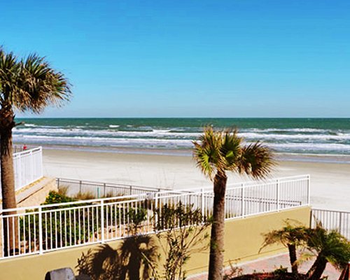 View of the beach with palm trees.